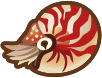 animal crossing chambered nautilus