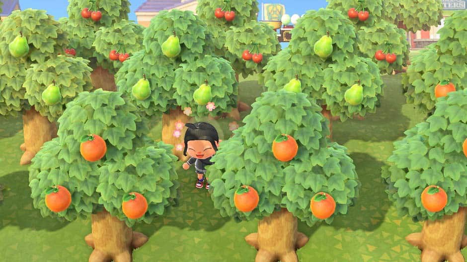 animal crossing new horizons sell fruits