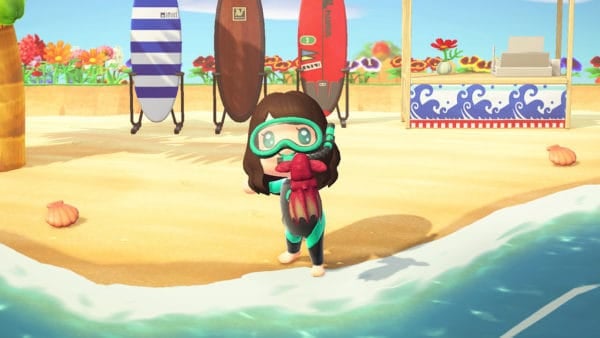 animal crossing sea creatures guide