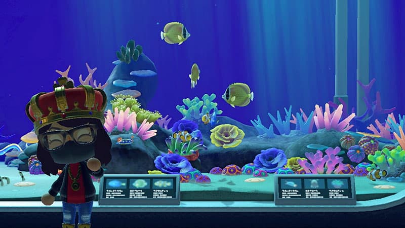 animal crossing what to do with sea creatures