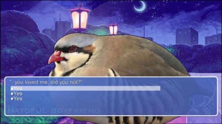 Hatoful Boyfriend