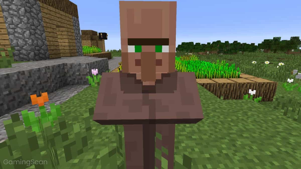 How To Get A Villager To Follow You In Minecraft