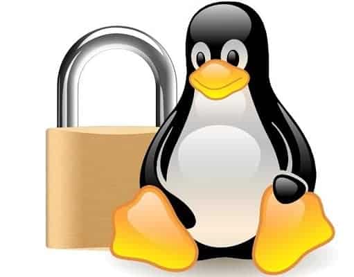 linux vs windows security