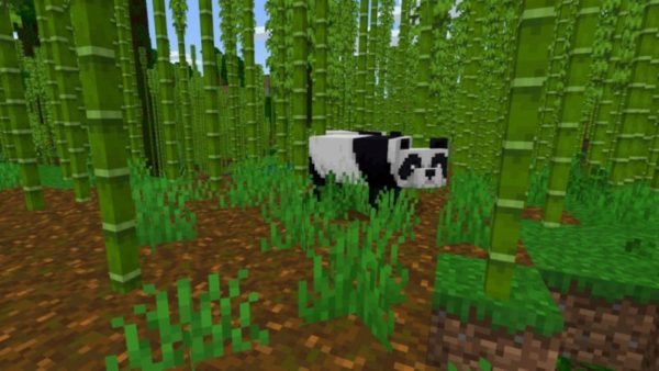 Massive Bamboo Forest with Pandas