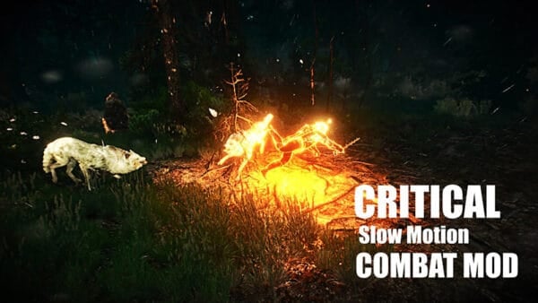 Mod Critical Slow Motion Combat Mod