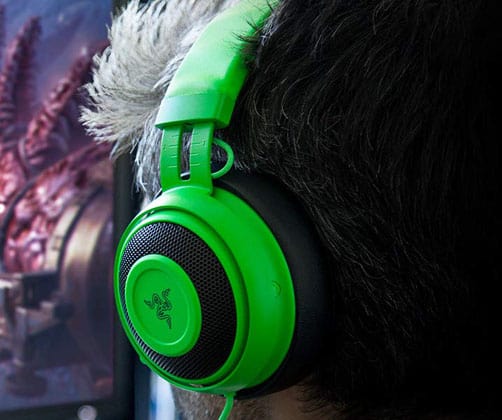 Razer Kraken Pro V2 Look