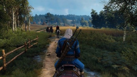 the witcher 3 wild hunt