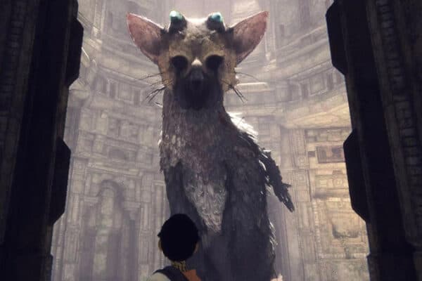 Trico